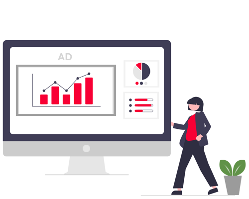 PAID ADS MANAGEMENT