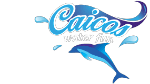 Company A logo